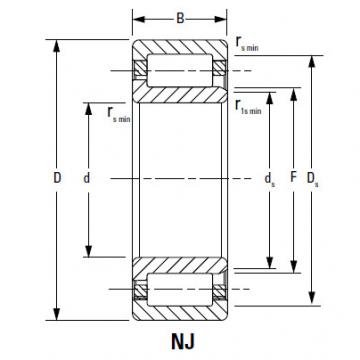 CYLINDRICAL ROLLER BEARINGS Bearing 210RF92 250RJ91