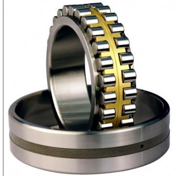 Bearing CYLINDRICAL ROLLER BEARINGS NNU40/670MAW33