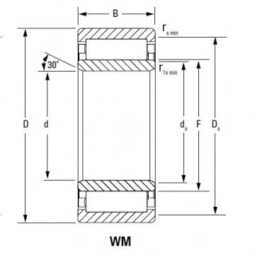 Bearing metric series cylindrical roller bearing A-5224-WS