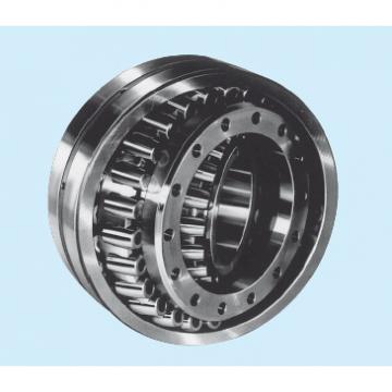 Bearing NSK Roll Bearings for Mills ZS07-60