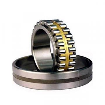 Bearing Double row cylindrical roller bearings NNUP4868