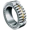 roller bearing NNCF48/500V #1 small image