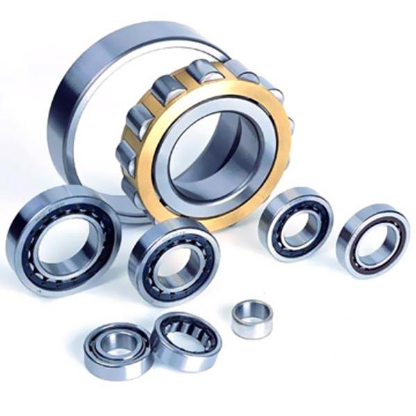 Cylindrical roller bearings single row N244M #1 image