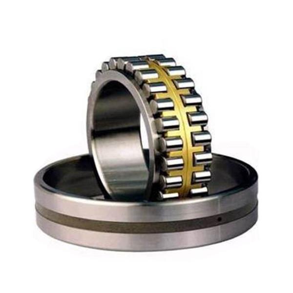 Bearing Double row cylindrical roller bearings NNU31/560 #1 image
